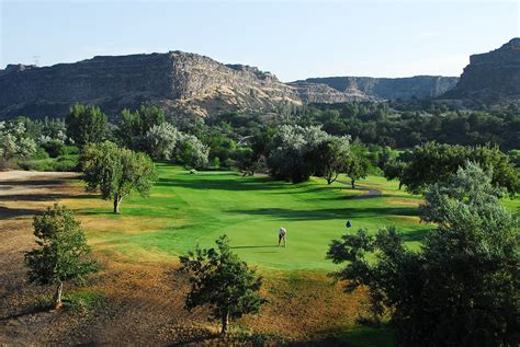 Fellow Members of the Canyon Springs Senior Men’s Golf .